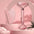 Roller & Gua Sha Facial Massage Set