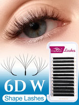 5D W Shape Eyelash  | Shopsglam