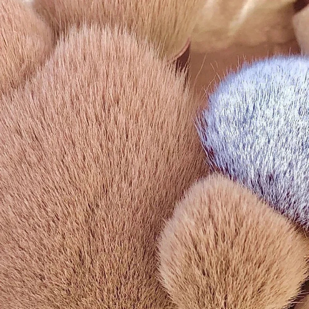 13PCS Makeup Brush Set – Soft & Professional Cosmetic Brushes with Storage Bag