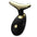 Dolphin Beauty Instrument