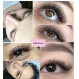 brown false eyelashes individua | Shopsglam