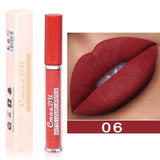 velvet lipgloss price